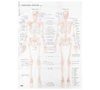 UKCOCO Skeletal Muscle Anatomy Poster 50x70cm Silk Cloth Human Skeleton Structure Chart Educational Science Physiology Wall Decor for Office Classroom
