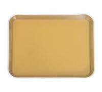 UKCOCO Stainless Steel Dissecting Tray with Wax Insert 31×24×3.1cm for Biology Students Laboratory Use Sturdy Metal Dissection Pan for Middle and High School Experiments