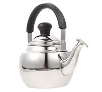 UKCOCO Stainless Steel Tea Kettle with Filter Thickened Metal Water Kettle for Home Kitchen Induction and Gas Stove Compatible Heat Resistant Base Comfortable Handle Large Capacity