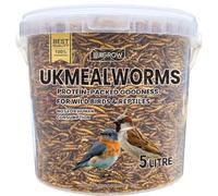UKGROW Mealworms for Wild Birds - 5L Bucket | Premium Bird Food Mealworms | Nutritious Dried Mealworms for Birds