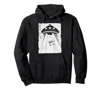 Ukiyo-e Style UFO Abducting Cute Frog Ink Art Painting Pullover Hoodie