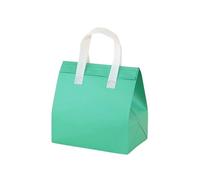 UKPackEase - 12.6l Insulated Thermal Bag - Mint Green Medium 3-Layer Aluminium Foil Take-Out Bags, Waterproof & Fresh-Keeping Takeaway Bags for Food Delivery (24×18×28cm) (pack of 20)