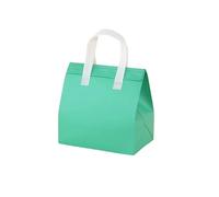 UKPackEase - 12.6l Insulated Thermal Bag - Mint Green Medium 3-Layer Aluminium Foil Take-Out Bags, Waterproof & Fresh-Keeping Takeaway Bags for Food Delivery (24×18×28cm) (Pack of 50)