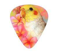 Ukulele Plectrums, Guitar Players Sampler 12 Piece, for Acoustic, Bass, and Electric Guitars-Cute Cockatiel print