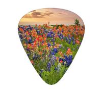 Ukulele Plectrums, Guitar Players Sampler 12 Piece, for Acoustic, Bass, and Electric Guitars-Texas Bluebonnets Scenery print