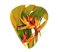 Ukulele Plectrums, Guitar Players Sampler 12 Piece, for Acoustic, Bass, and Electric Guitars-Tropical Bird of Paradise print