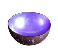 ulafbwur Coconut Shell Bowls Space-Saving Compact Small Anti-Deform Retro Coconut Bowls Purple