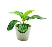 ulafbwur Simulation Bonsai Artificial Potted Plant Realistic Plastic Eye-Catching Imitative Bonsai Plants for Home Simulation Bonsai Fake Bonsai