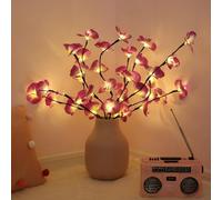 Ulalaza 70cm 2 Branches 40 LED Bulbs Twig Lamp Battery Operated LED Lighted Willow Branches Vase Fillers Use for Christmas Home Party Decoration Indoor Outdoor