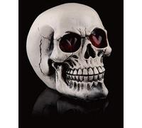 Ulalaza Gifts Decor Grinning Realistic Replica Human Skull Home Statue