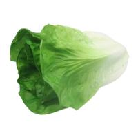 Ulalaza Realistic Artificial Fake Vegetables Lifelike Simulation Decorative Foam Food Simulation lettuce Set Faux Veggies for Home Kitchen Party Decor