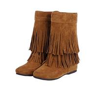 Ulalaza Women's Fringe Cowboy Boots Hidden Wedge Heel Ankle Layer Tassel BOOTS Rhinestones Sparkle Shining Fabric Nubuck Leather Comfortable Pull-On for Street Wedding Party