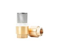 ULBTLUOYV 2PCS Female Brass Bottom Check Valve DN15/DN20/DN25 Non-return With Steel Strainer Filter For Water Plumbing Pump(1 Inch)