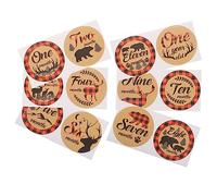 ULDIGI 12 Pcs Month Stickers Milestone Sticker Newborn Monthly Sticker Boy Photo Props Girl Milestone Decal High-end Self-Adhesive Stickers