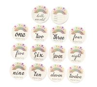ULDIGI 14Pcs Painted Milestone Cards for Newborns Monthly Milestone Photography Props Engraved Wooden Cards to Capture Growth Moments for Social Media Sharing