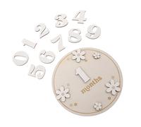 ULDIGI 1set Wooden Monthly Marker Discs Decorative Announcement Signs for Newborn Photography Lightweight Wood Cards for Boys Girls for Showers Gender Reveals