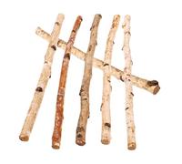 ULDIGI 6pcs Bark Stick Projects Crafting Filler Log Rustic Sticks for Crafts Sticks for Crafting DIY Vase Kit Birch Photo Props Fairy Garden Decor Rustic Home Decors Dry Branches Wood