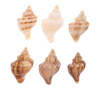 ULDIGI 6pcs Crab Shells Conch Shells for Aquarium Decor Coastal Themed Home Decoration Beach Themed Crafts for Fish Tank and Desktop Ornament