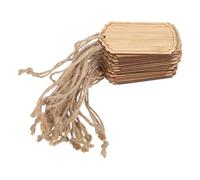 ULDIGI Bamboo Plant Labels 20pcs Blank Hanging Tags with String for Outdoor Garden and Vegetable Plant Care