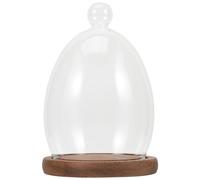 ULDIGI Egg-shaped Glass Display Dome with Preserved Eternal Flower and Vintage Wood Base, Micro-landscape Glass Bell Jar for Valentine's Day Table Decor and Dust Protection