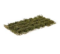ULDIGI Nylon Grass Cluster Decor for DIY Model Trains and Architecture Lawn, Practical and Easy to Clean Fake Grass Scenery Material for Train Railway Model Decor and Sand Table Crafts