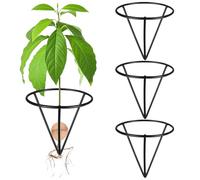 ULELE 3Pcs Avocado Germinator Avocado Tree Growing Kits Avocado Seed Starters Rack Conical Metal Stands Triangle Bracket Conical Avocado Seed Vase Holder Bamboo Base Sprouting Plant(Black)