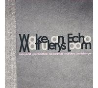 Wake an Echo