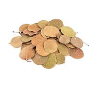 ULIJTH Natural Tree Leaves For Fish Tanks Build Hide Area In South America Styles Aquariums Aquascaping Decoration Stream Aquarium Substrate