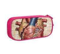 ULKMFFCF Human Anatomy Heart Chart Printed Pencil Case Pen Bag,Pink - Large Capacity Students Stationery Pouch Pencil Box with Zipper for School Office Travel and Makeup