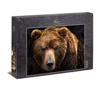 Ulmer Puzzleschmiede - Animal Portrait Puzzle 'Grizzly' - Classic 1000pc Jigsaw Puzzle - Modern Photographed Bear in Close Up