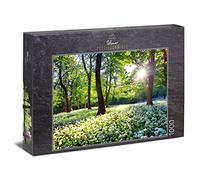 Ulmer Puzzleschmiede - Puzzle "Spring Sun" - Classic 1000 Piece Natural Puzzle Made in Germany - The Warm Sun Rays Liven Up The Forest in Spring, Flowers Bloom, The Landscape Awakens