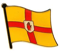 Ulster County Flag Pin Badge