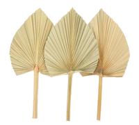 ULTECHNOVO 3pcs Dried Palm Leaf Decor Natural Fan Shaped Wall Art for Wedding Party Home Floral Arrangement Window Display Indoor Outdoor Use