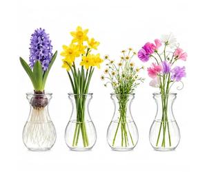 ULTECHNOVO 4Pcs Clear Hyacinth Bulb Vases - 14cm Tall Glass Hydroponic Bud Vases for Forcing Bulbs - Small Transparent GlassVases for Flowers, Roots Growth Display, Wedding Table Decor & Gift