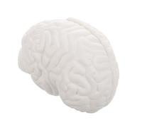 ULTECHNOVO Detachable Human Brain Model with Display Base Anatomical Brain Teaching Aid for Medical Study and Science Research Precise Engineering White Part Hemisphere Structure for