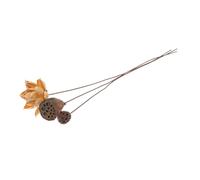 ULTECHNOVO Dried Lotus Flower Arrangement Natural Preserved Floral Decor for Home Table Centerpiece Chinese Style Zen Aesthetic Living Decoration