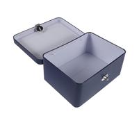 ULTECHNOVO Lockable Tinplate Jewelry Box 6.89X5.12X2.95In Small Storage Container for Memory Keepsakes and Candy Storage with Smooth Surface