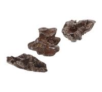 ULTECHNOVO Natural Iron Meteorite Mineral Rock Fragment Teaching Specimen 5g Authentic Lithosiderite with Structural Stability for Science Classroom Educational Demonstrations and Science
