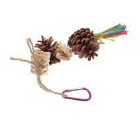 ULTECHNOVO Natural Pine Cone Bird for Parrots and Finches with Fixed Hook and Hoop, for Chewing and Balance Training, Hanging Bird Cage Accessory for Entertaining and Stimulating Pets