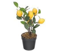 ULTECHNOVO Realistic Artificial Bonsai Tree with Assorted Colours, Plastic Material, Decorative Fake Plant for Home and Work, for Kitchen Decor and Stress Relief