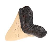 ULTECHNOVO Realistic Resin Megalodon Shark Tooth Model for Educational Use and Continuous Display, for Shark Lovers and Prehistoric Creatures in Home Décor or Marine-themed Rooms