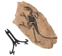 ULTECHNOVO Resin Dinosaur Specimen with Smooth Surface for Desktop Decoration, Enrich Knowledge for Party Decorations or Day