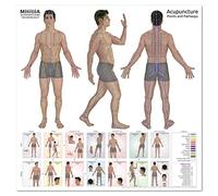 Ultimate Acupuncture Miridia Wall Chart for Office Wall Decor - New Photographic Version, Huge 36 x 36
