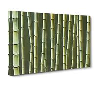 Ultimate Bamboo Forest Canvas Print | Gallery Wrapped 30mm Frame Wall Art | 30x20 inches | Ready to Hang | Contemporary Floral Picture | Living Room Bedroom Lounge Office