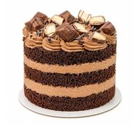 Ultimate Chocolate Bento Cake - 5 inch | Limited Edition Bento | Indulgent Cake With 4-6 Portions | Sponge With Whipped Cream & Hazelnut | Handcrafted By Bakerdays