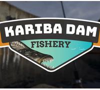 Ultimate Fishing Simulator - Kariba Dam DLC PC Steam CD Key