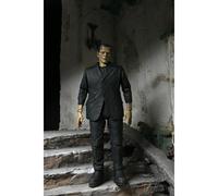 Ultimate Frankenstein's Monster Colour Edition Figure from Frankenstein - NECA 04804 - Plush Soft Toy