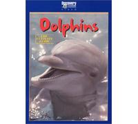 Ultimate Guide - Dolphins: Ultimate Guide [DVD] [Region 1] [US Import] [NTSC]