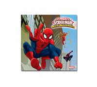 Ultimate Spiderman Serviettes for Birthday and Theme Party Set of 20