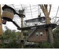 Ultimate Treehouses VI